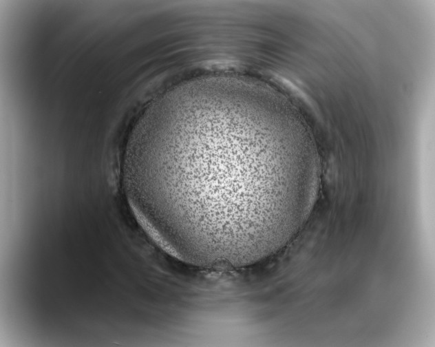 X0000088431015200706051226