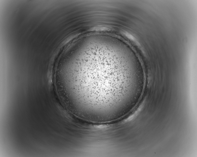 X0000088431017200706051226