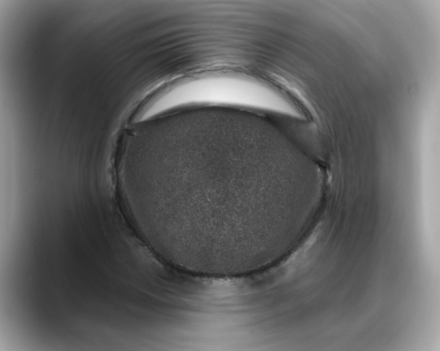 X0000088431018200706051226