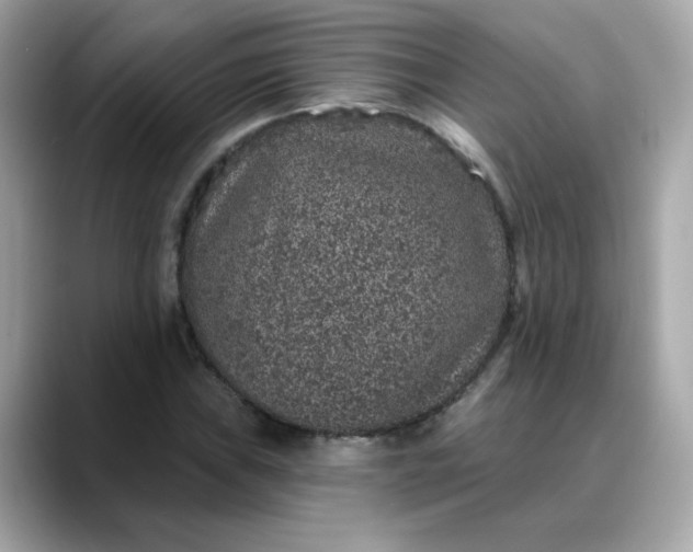 X0000088431019200706051226