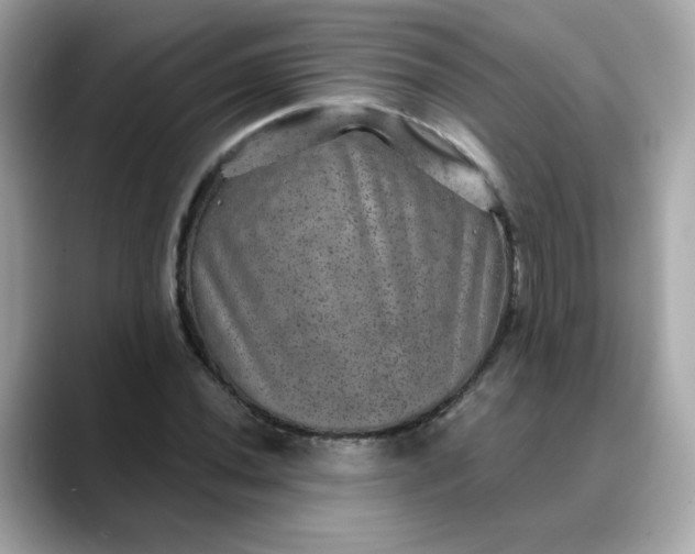 X0000088431020200706051226