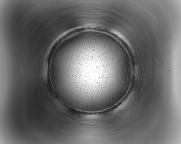 X0000088431021200706051226