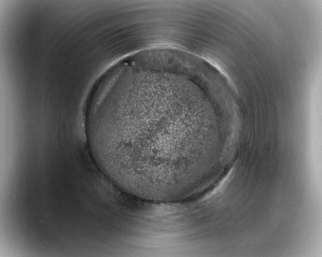 X0000088431022200706051226