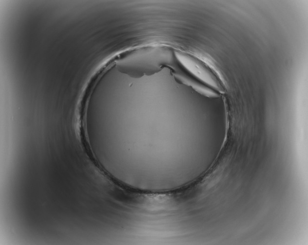 X0000088431024200706051226