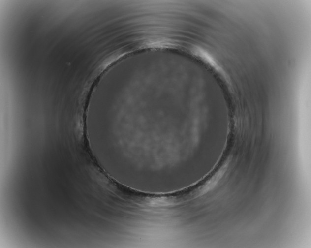 X0000088431025200706051226