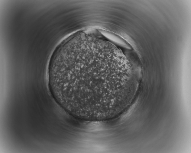 X0000088431028200706051226