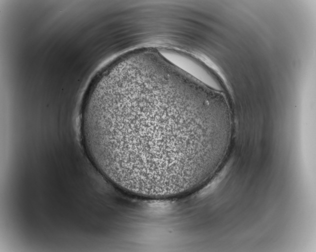 X0000088431029200706051226