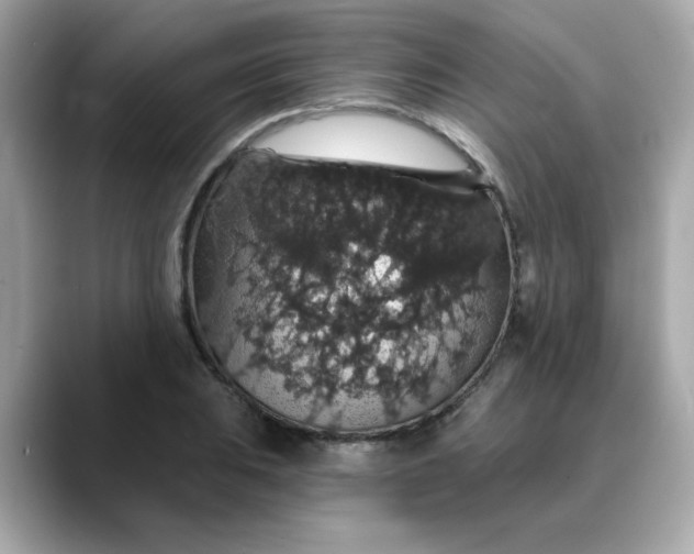 X0000088431031200706051226