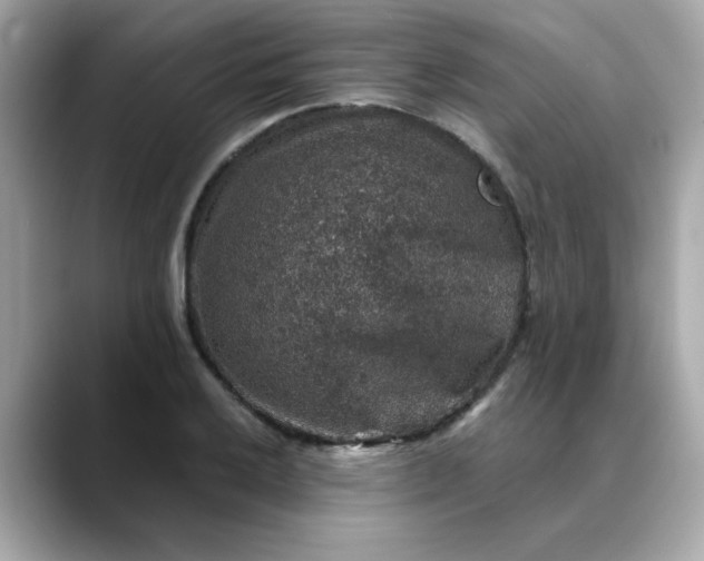 X0000088431032200706051226