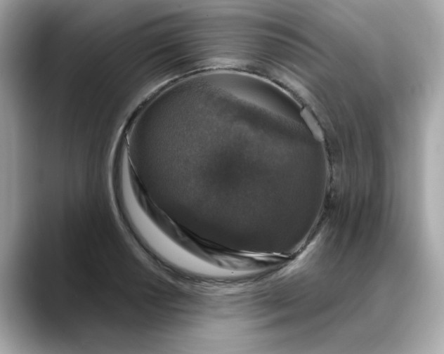 X0000088431034200706051226