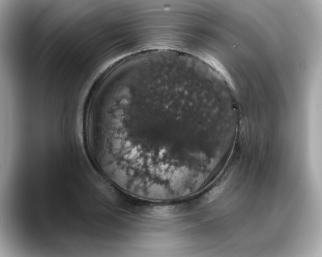 X0000088431035200706051226