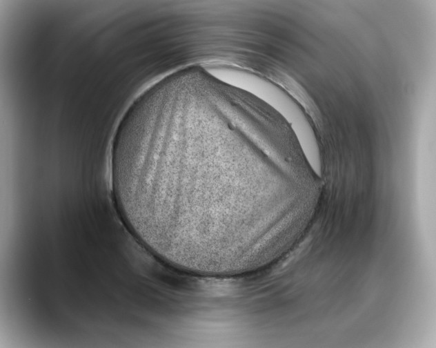 X0000088431036200706051226