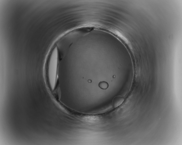 X0000088431037200706051226