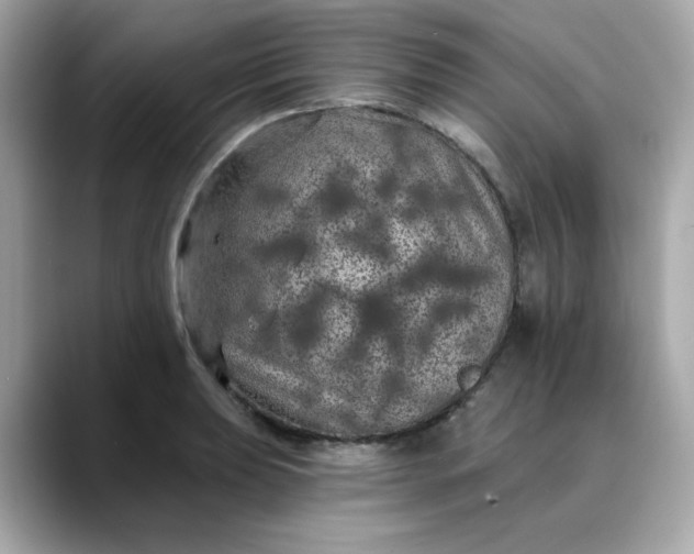 X0000088431039200706051226