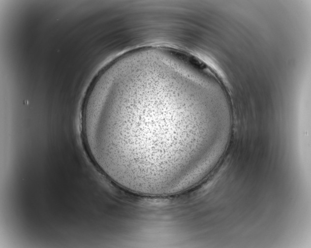 X0000088431040200706051226