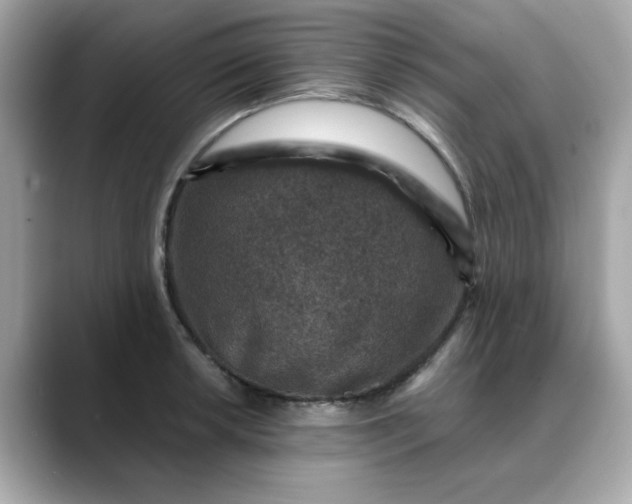 X0000088431042200706051226