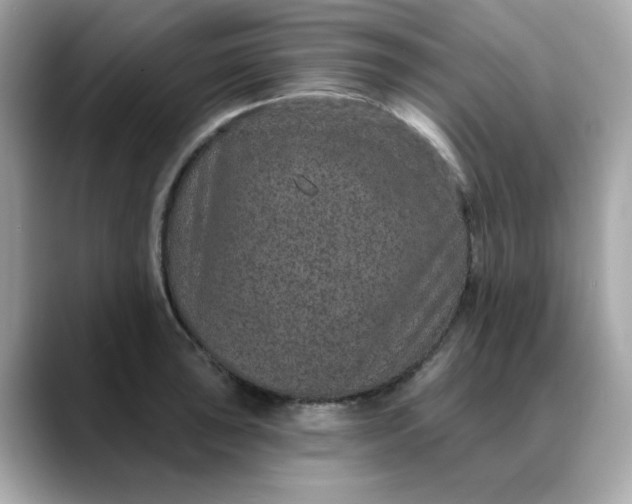 X0000088431043200706051226