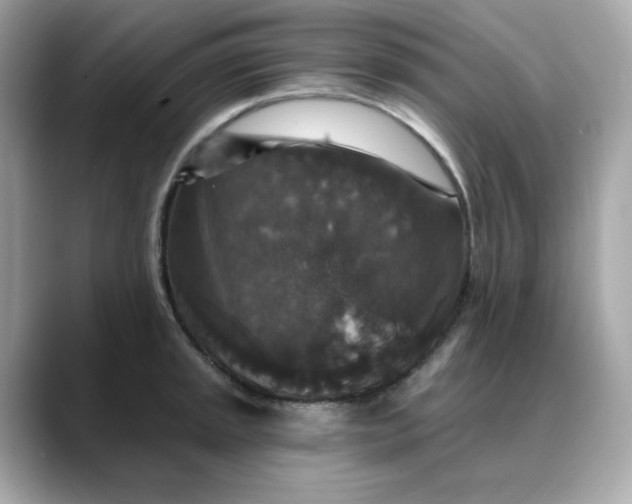 X0000088431045200706051226