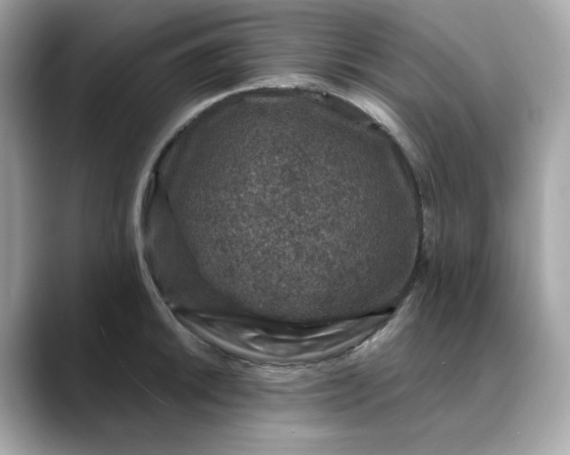 X0000088431046200706051226