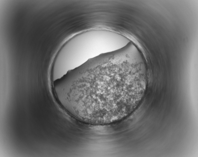 X0000088431048200706051226