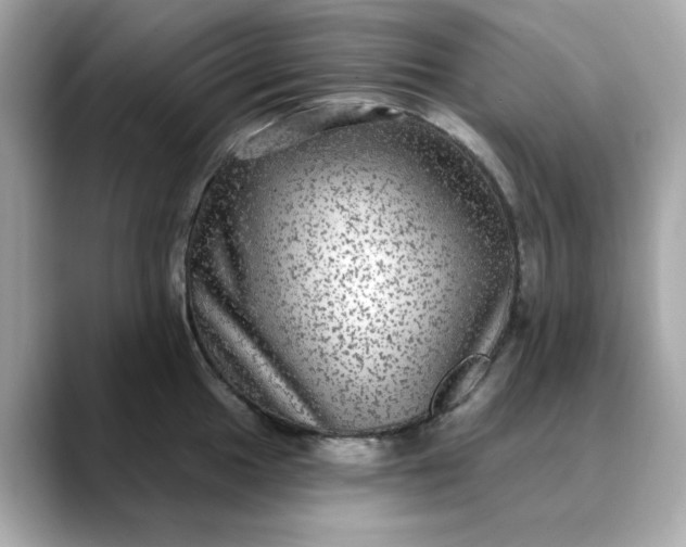 X0000088431049200706051226