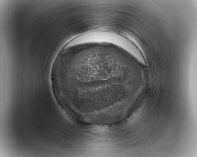 X0000088431050200706051226