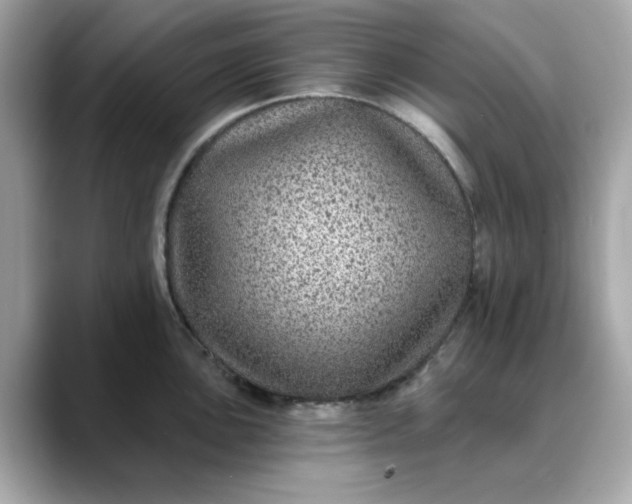 X0000088431051200706051226