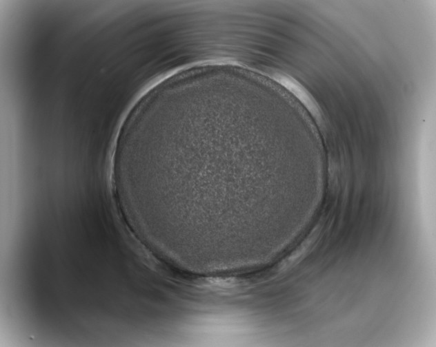 X0000088431052200706051226