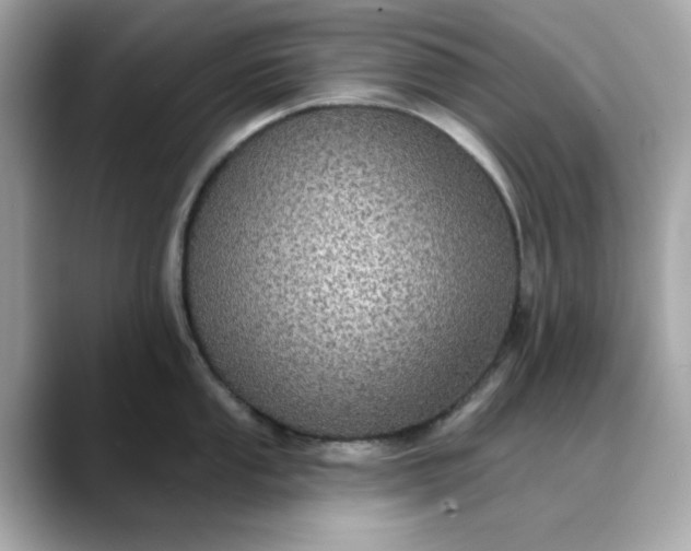 X0000088431053200706051226