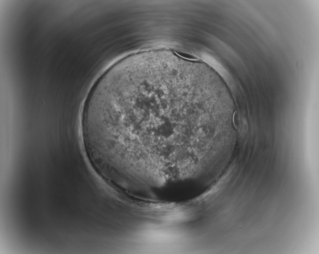 X0000088431055200706051226