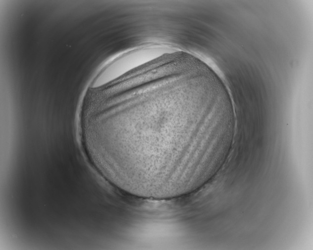 X0000088431056200706051226