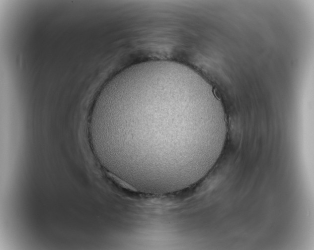 X0000088431057200706051226