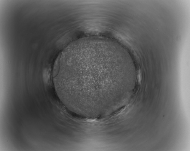 X0000088431059200706051226