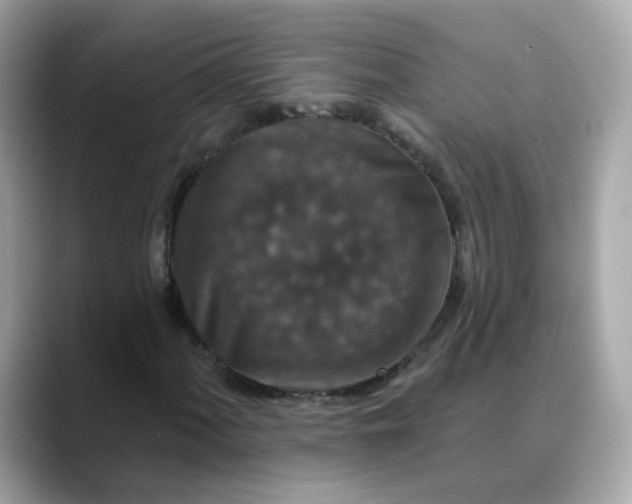 X0000088431060200706051226