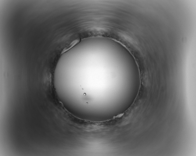 X0000088431061200706051226