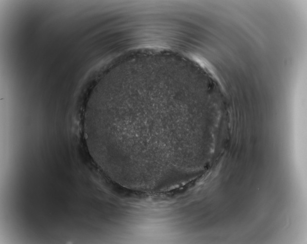 X0000088431064200706051226