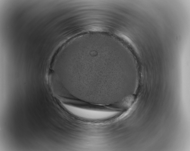 X0000088431065200706051226