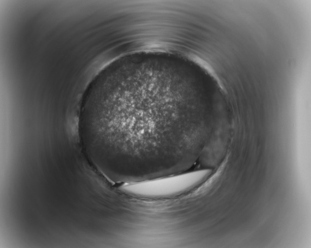 X0000088431066200706051226