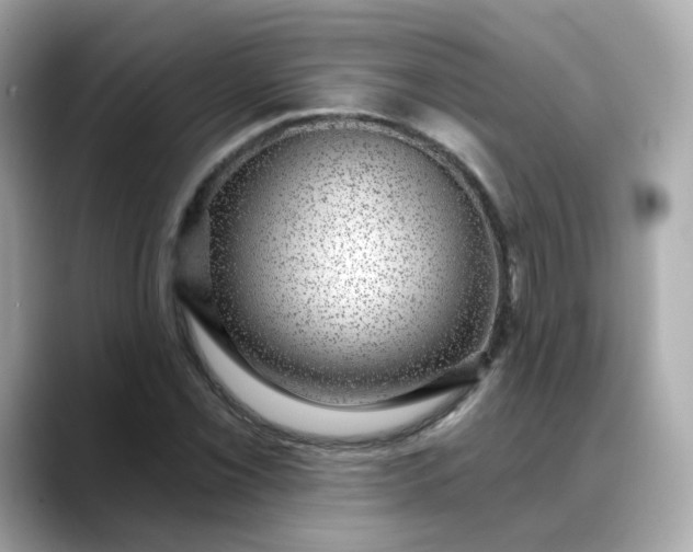 X0000088431069200706051226