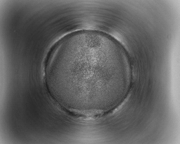 X0000088431070200706051226