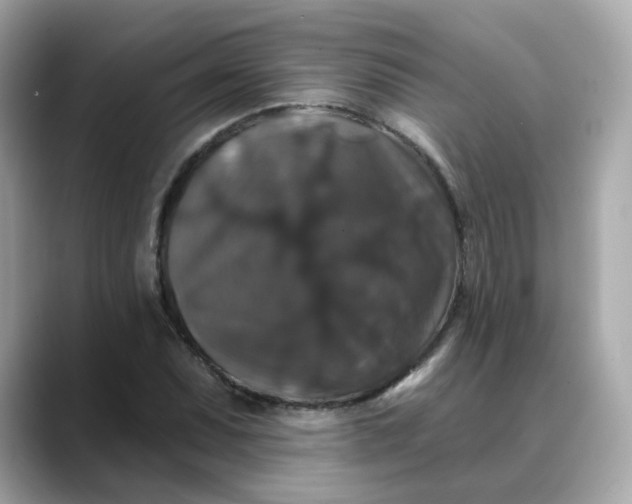 X0000088431071200706051226