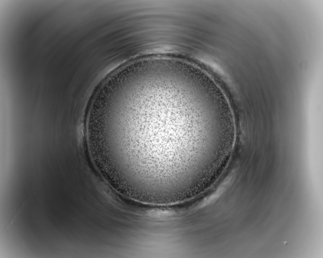 X0000088431073200706051226