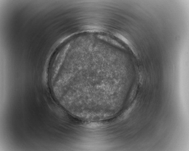 X0000088431074200706051226