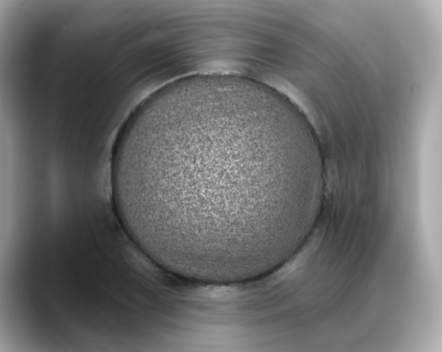 X0000088431075200706051226