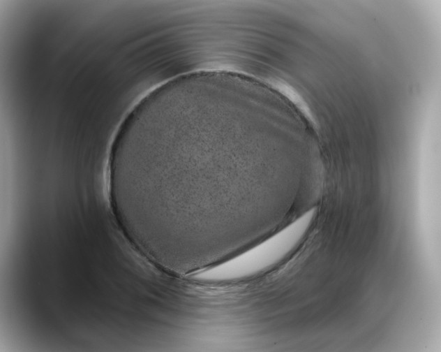 X0000088431076200706051226