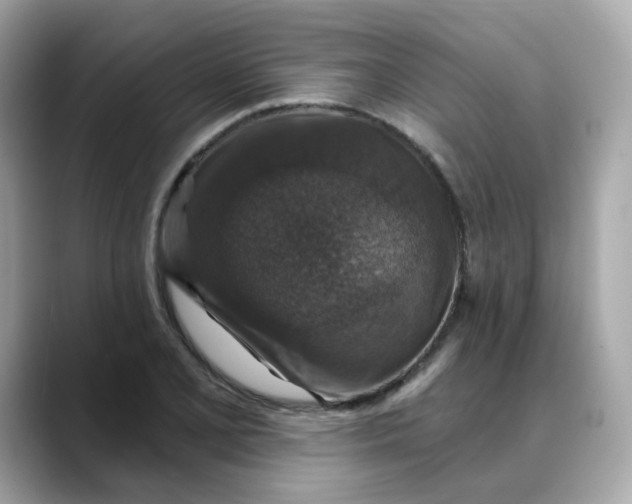 X0000088431077200706051226