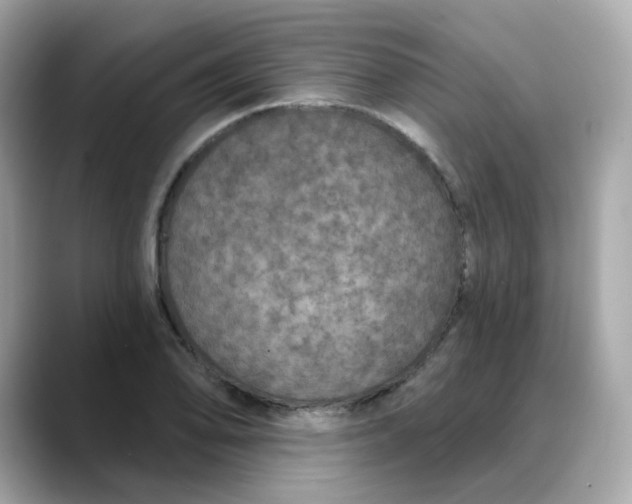 X0000088431078200706051226