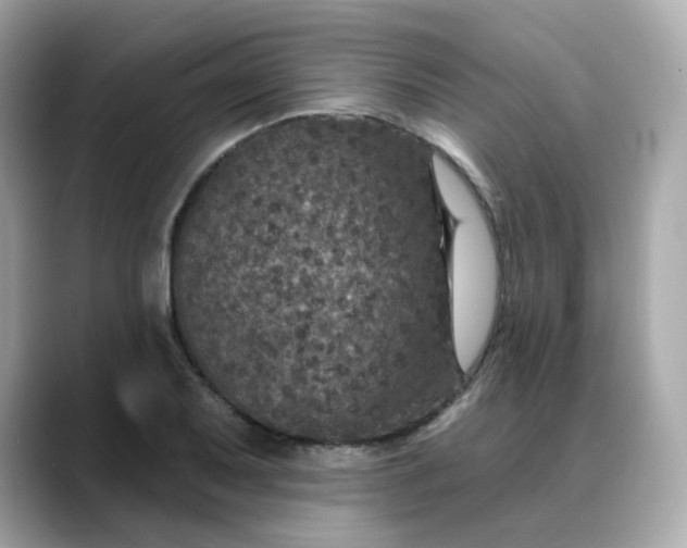 X0000088431079200706051226