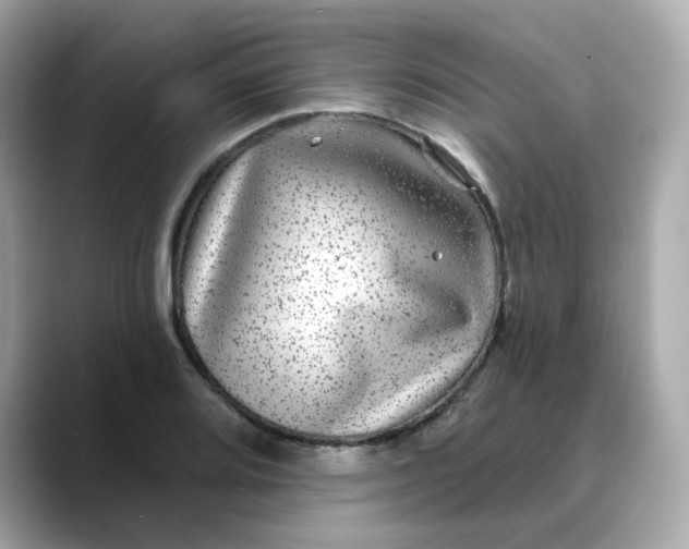 X0000088431080200706051226