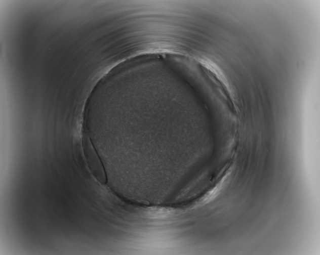 X0000088431081200706051226